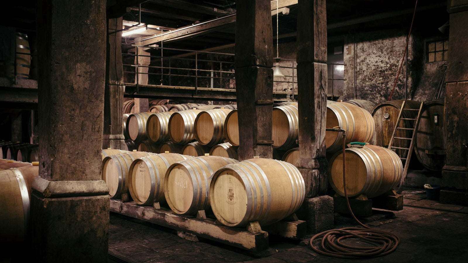 Weinkeller und Winzerei des Weingutes Freiherr von Gleichenstein für den Anbau von Weißwein und Rotwein in deutscher Spitzenqualität